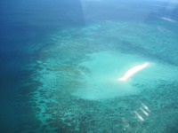 Y様／「今しか行けないハネムーン」　ケアンズ・アデレード・カンガルー島・シドニー１０日間